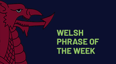 Welsh Phrase of the Week