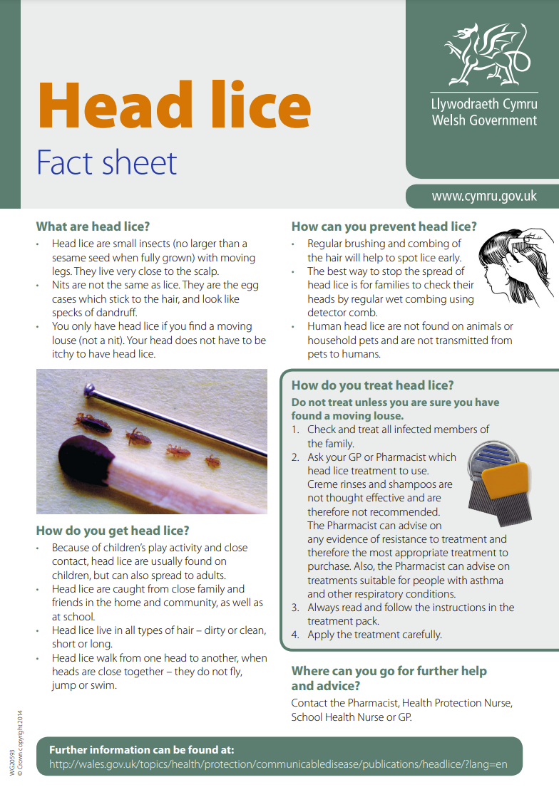 WG Head Lice Fact Sheet
